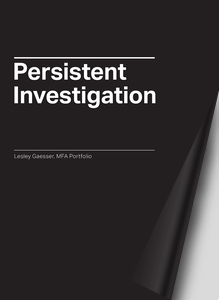 PersistentInvestigation LesleyGaesser MFAPortfolio-Small